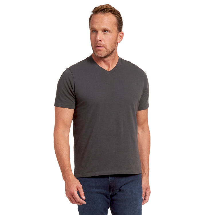 Men wearing Gris oscuro Classic V-Neck Driggs Tee