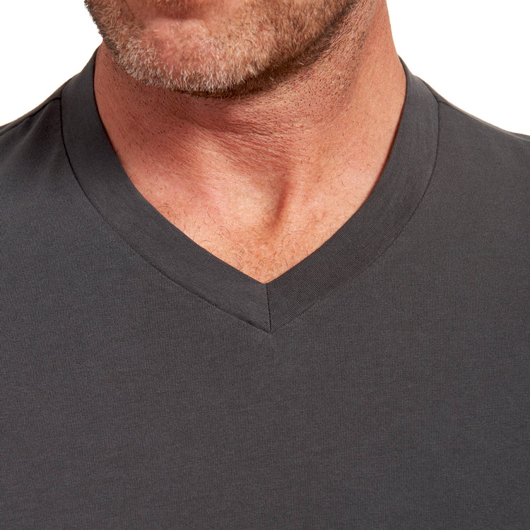 Men wearing Gris oscuro Classic V-Neck Driggs Tee