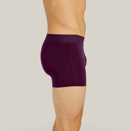Second Skin Trunk Egg Plant Trunk underwear